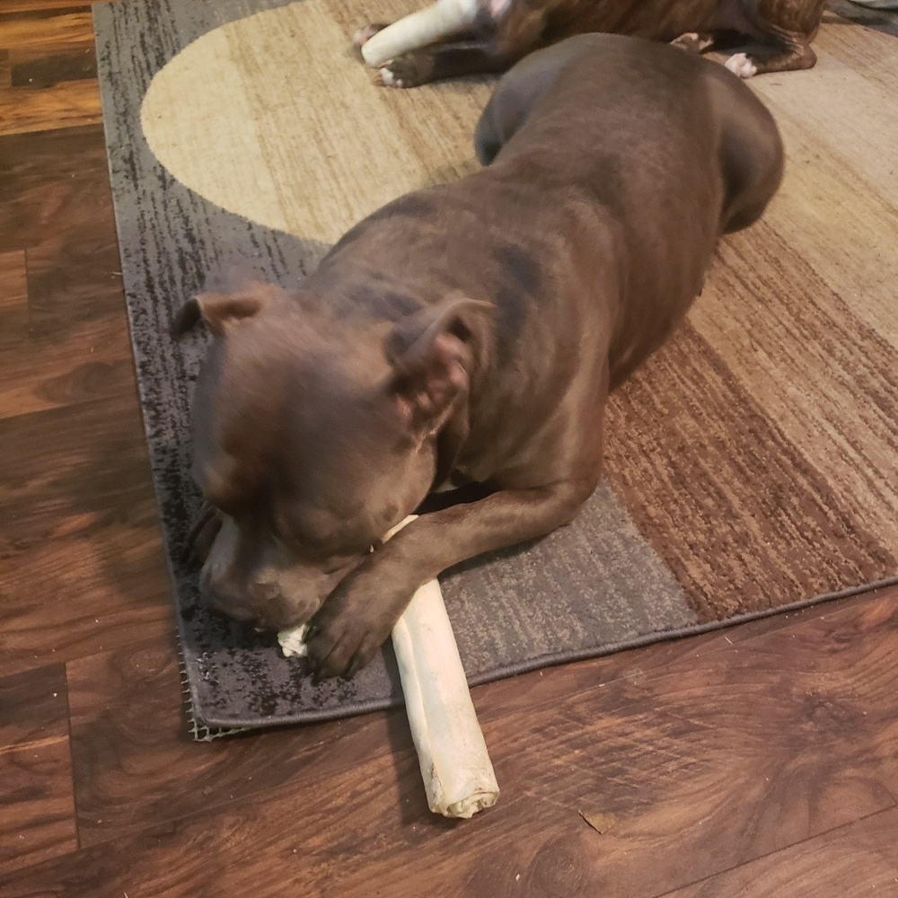 Meet your Posher, Janet